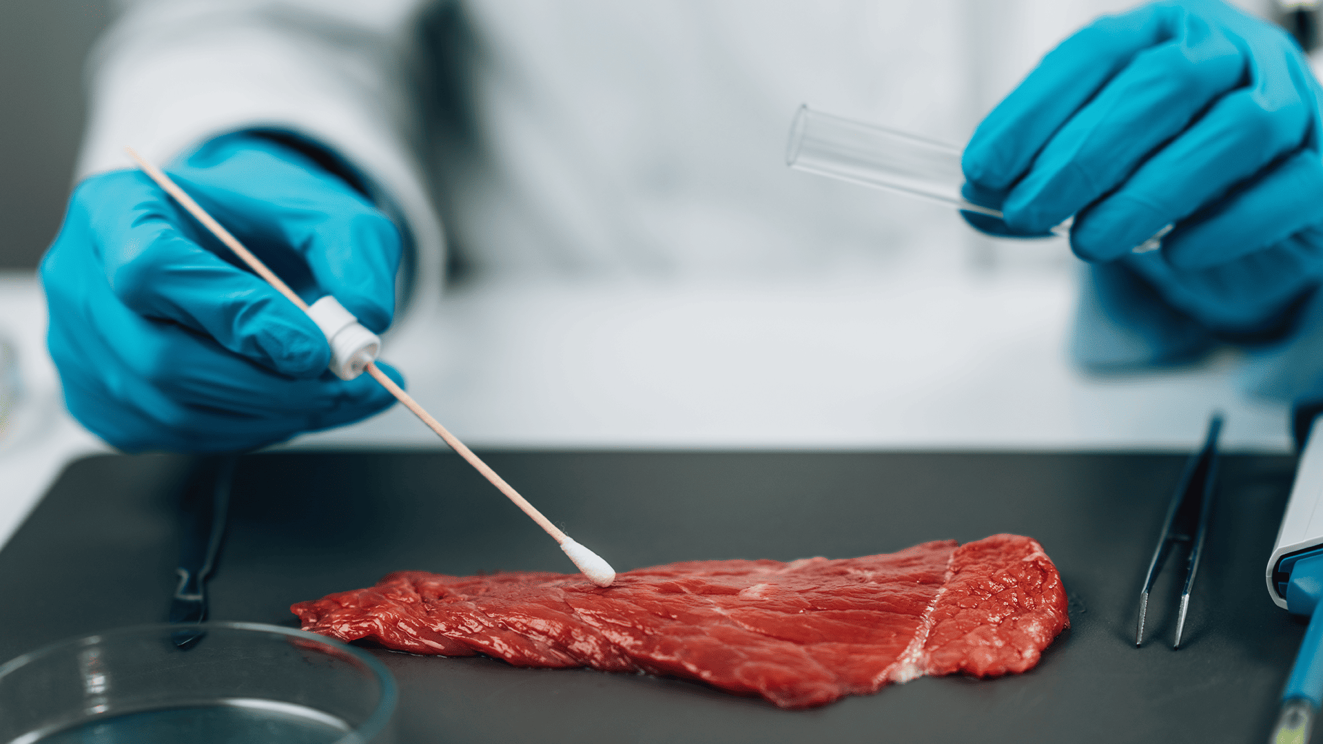 Imagen referente ao curso de <strong>Vigilância Sanitária e Qualidade de Alimentos</strong>